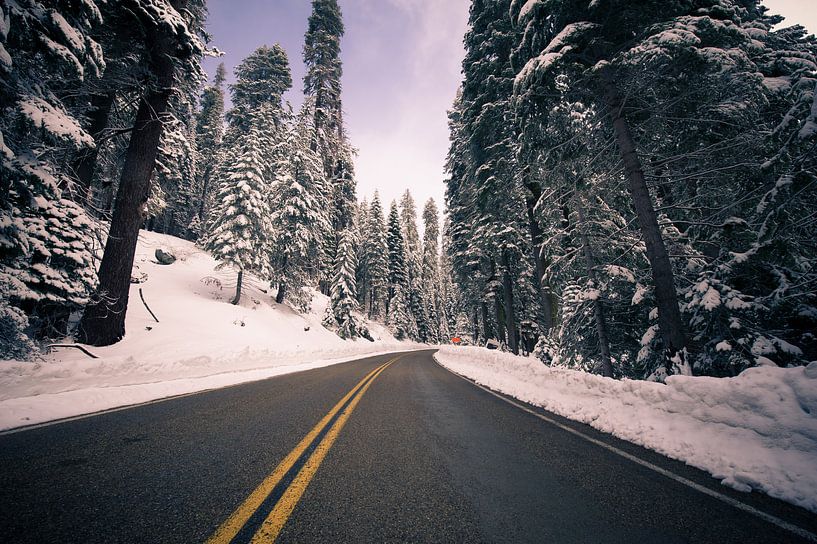 The road through the snow by Sander van Leeuwen