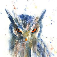 Eulen Poster & Prints