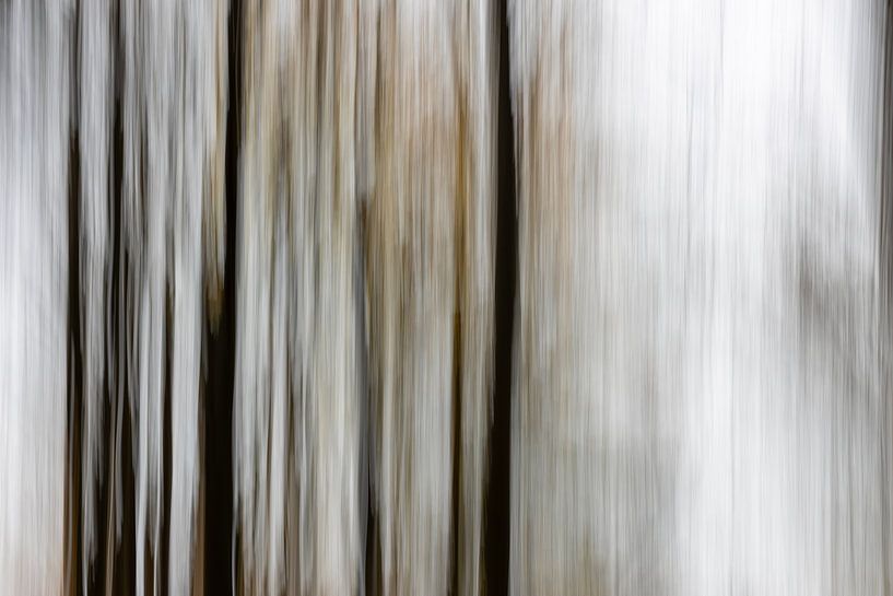 Herbst im Waldhaus Drei, abstrakt #4 von Hans de Waay