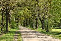 Laarbraakweg