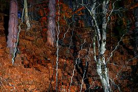FAIRY TALE FOREST 17 by Miroslav Ptacek