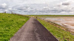 Fietspad Waddendijk