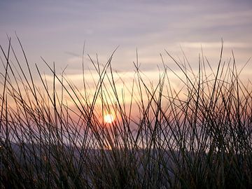 Ondergaande zon aan zee van Sjoerd van der Hucht