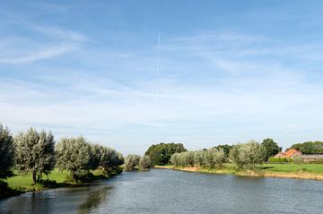 De Linge van Richard Wareham