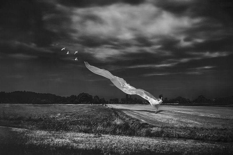 Femme en robe blanche dans la toundra de Groningue - Photographie enchanteresse de la liberté et de la sérénité par Elianne van Turennout