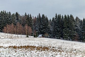Winterwandeling op de hoogten van het Thüringer Wald van Oliver Hlavaty