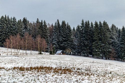 Winterwandeling op de hoogten van het Thüringer Wald