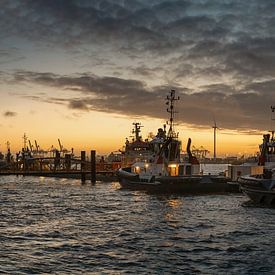 Sonnenaufgang im Hamburger Hafen an einem Schlepperanleger von Jonas Weinitschke
