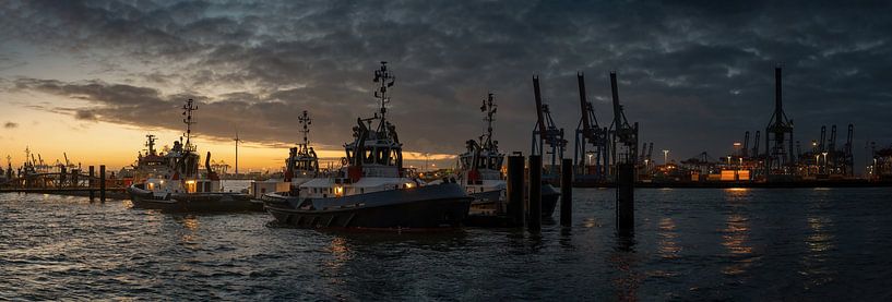 Harbour landscape in Hamburg at sunset with ships and cranes by Jonas Weinitschke