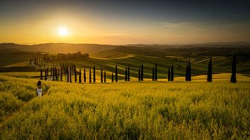 Hügel der Toscana im Val de Orcia zum Sonnenuntergang