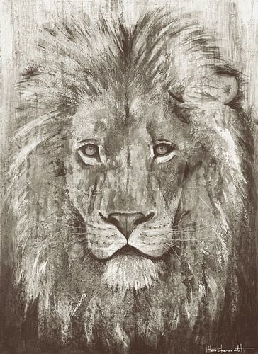 Lion Grey