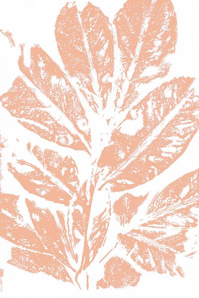 Blätter im Retro-Stil. Moderne botanische Kunst in hellem Terrakotta oder rosa Lachs von Dina Dankers