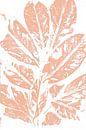 Blätter im Retro-Stil. Moderne botanische Kunst in hellem Terrakotta oder rosa Lachs von Dina Dankers Miniaturansicht