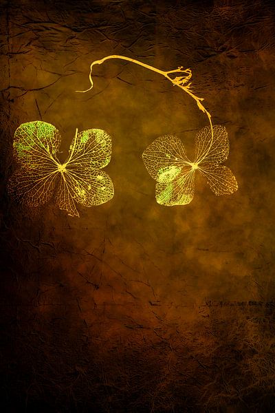 Hydrangea. Green with gold and brown. Minimalism. by Alie Ekkelenkamp
