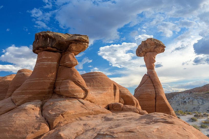 Toadstool Hoodoos: Timeless Sculptures of Nature I by Gerry van Roosmalen