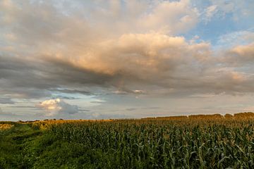 Sommerwetter sur Rolf Pötsch