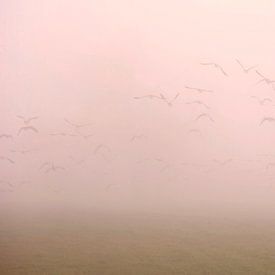 Ganzen in de mist by Veronie van Beek