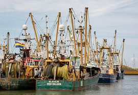 Fishing vessels in the harbour of Den Oever.