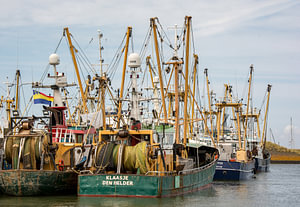 Fischerboote im Hafen von Den Oever.