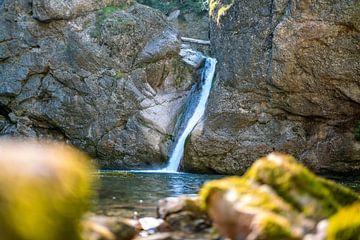 Buchenegg waterfall in summer by Leo Schindzielorz