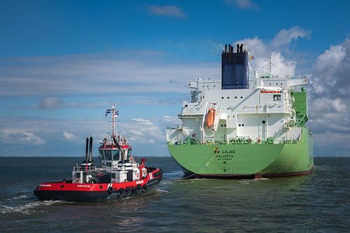 BW Lilac and Waterlines