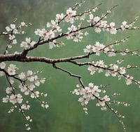 Een volle kersenbloesem tak japandi stijl.