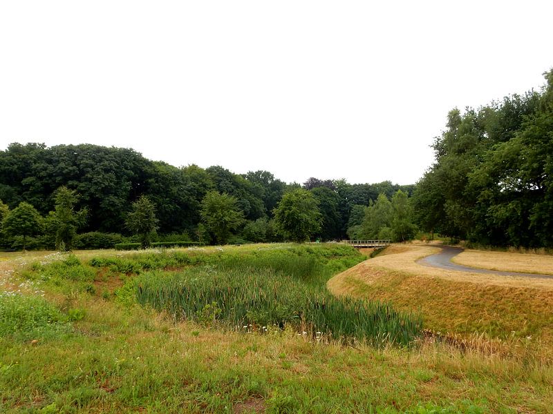 Landscape with bridge by Joke te Grotenhuis