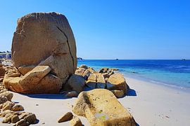 Ein Monument der Natur von Theodor Decker