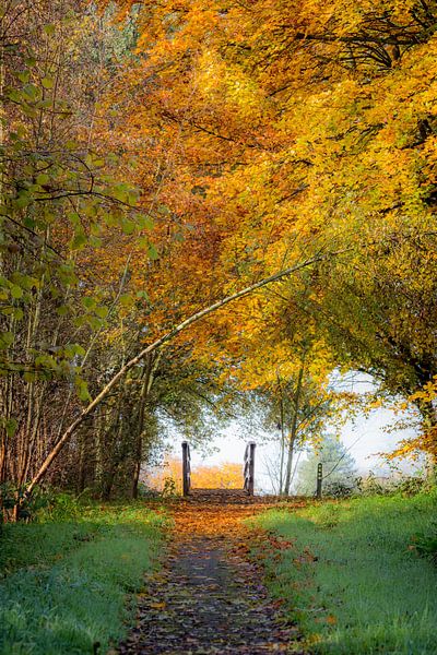 Bruggetje in een herfstlandschap (portrait) van Fotografie Jeronimo