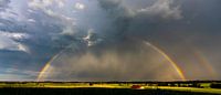 Regenboog