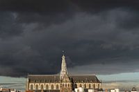 En voie de disparition Bavo