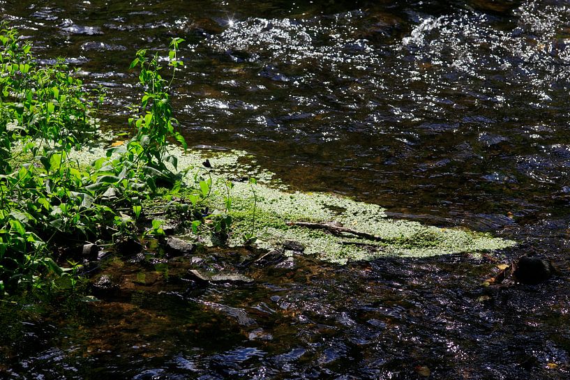 Water by Thomas Jäger