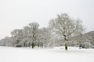 Park in de winter van Merijn van der Vliet