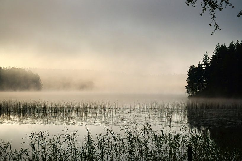 Lever de soleil avec formation de brouillard sur un lac en Suède, à l'aube par Martin Köbsch
