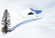 Einsame Hütte im Schnee von Frank Herrmann Miniaturansicht