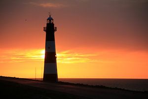 Lighthouse sur Marcel van Rijn