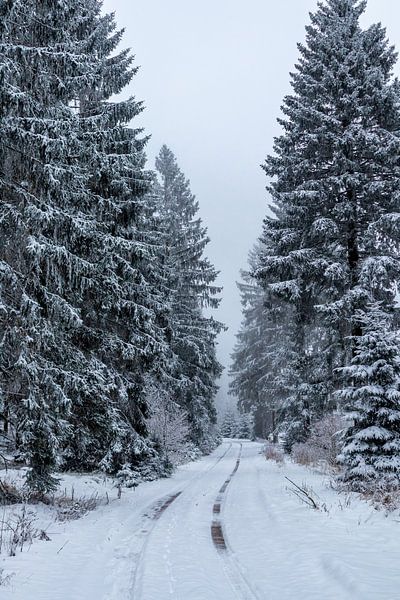 Winterliche Entdeckungstour durch den Thüringer Wald von Oliver Hlavaty