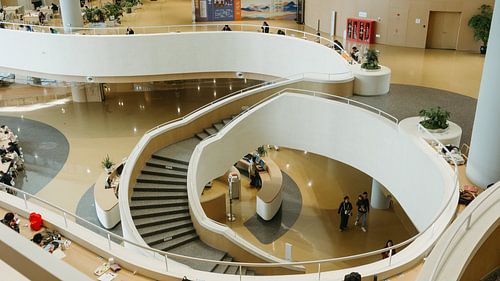 Organische architectuur en moderne studieruimte – Chengdu Bibliotheek