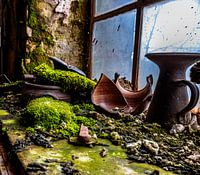 Gebroken servies en mos op het raam - de natuur verovert de verloren plek