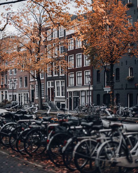 Autumn Bikes by Een Wasbeer