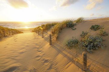 Beach life! by Dirk van Egmond