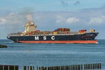 The MSC Anchorage container ship. by Jaap van den Berg