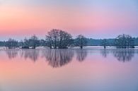 Pink Lake bei Sonnenaufgang von jowan iven Miniaturansicht