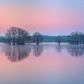 Pink Lake during sunrise van jowan iven