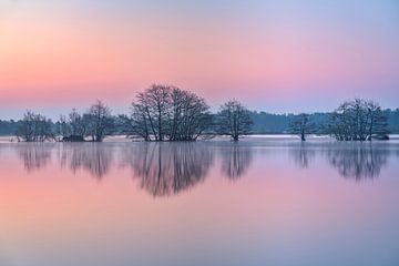 Le lac Pink au lever du soleil