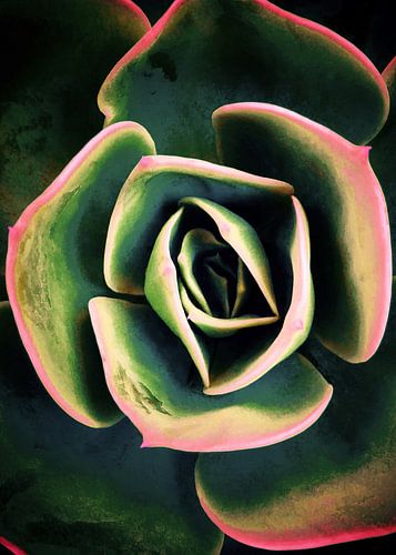 DARKIDE VAN VETPLANTEN XV-A