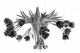 zwarte tulpen by marjolein Parijs