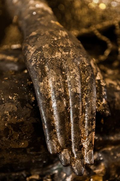 Boeddha hand van Jeroen Langeveld, MrLangeveldPhoto