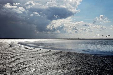 Wadden Sea with stern waves by Jan Faber