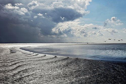 Waddenzee met hekgolven van Schiermonnikoog fotografie